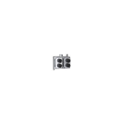 Appleton EFD275J2 2-Gang 2-Pilot Light – RMS-Electric