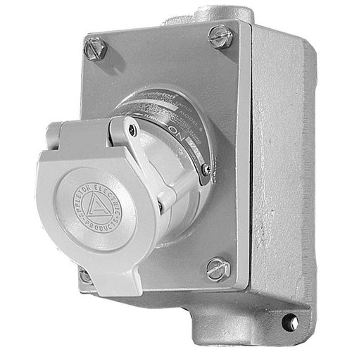 Appleton ENRC12202 2-Gang Receptacle Assembly – RMS-Electric